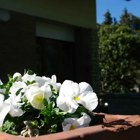 Tre Conigli Sul Bed & Breakfast Foligno