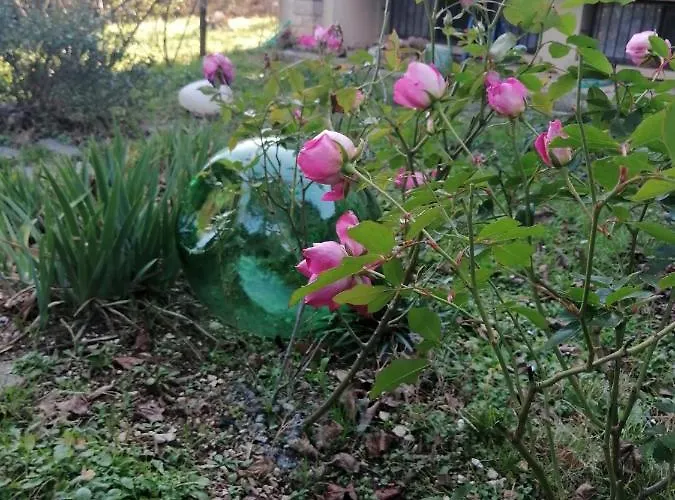 Bed & Breakfast Tre Conigli Sul