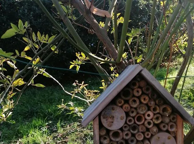 Bed & Breakfast Tre Conigli Sul *