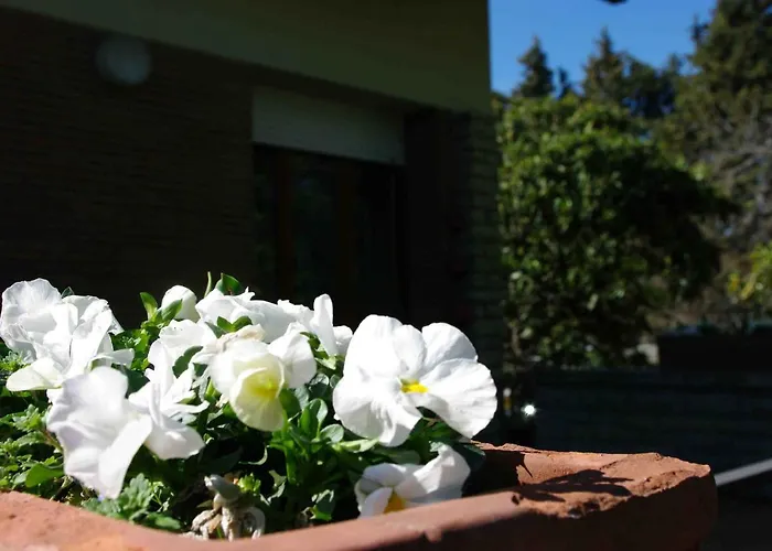 Tre Conigli Sul Bed & Breakfast Foligno